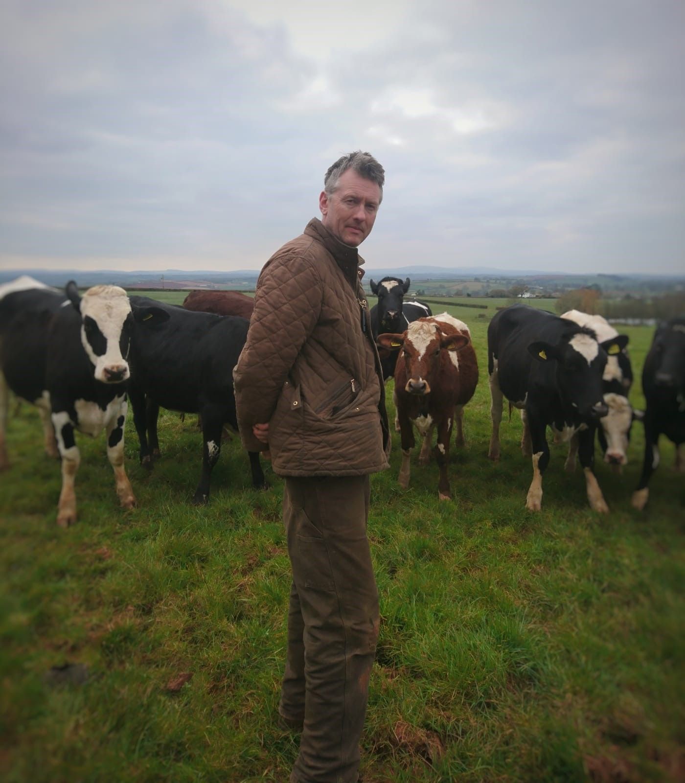 Andy Gray among the cattle at Elston